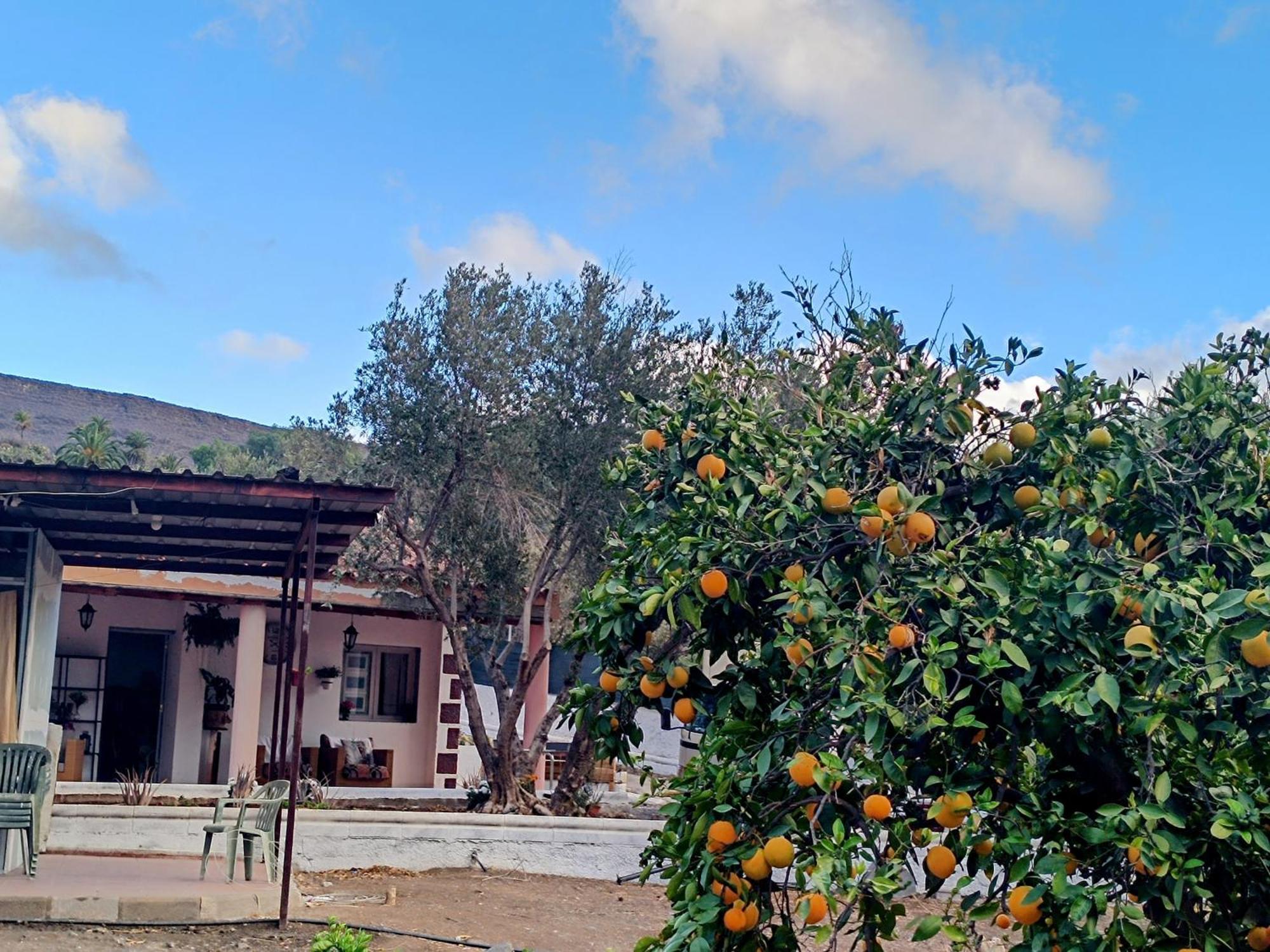 Вілла La Casa De La Pradera Santa Lucia De Tirajana Екстер'єр фото